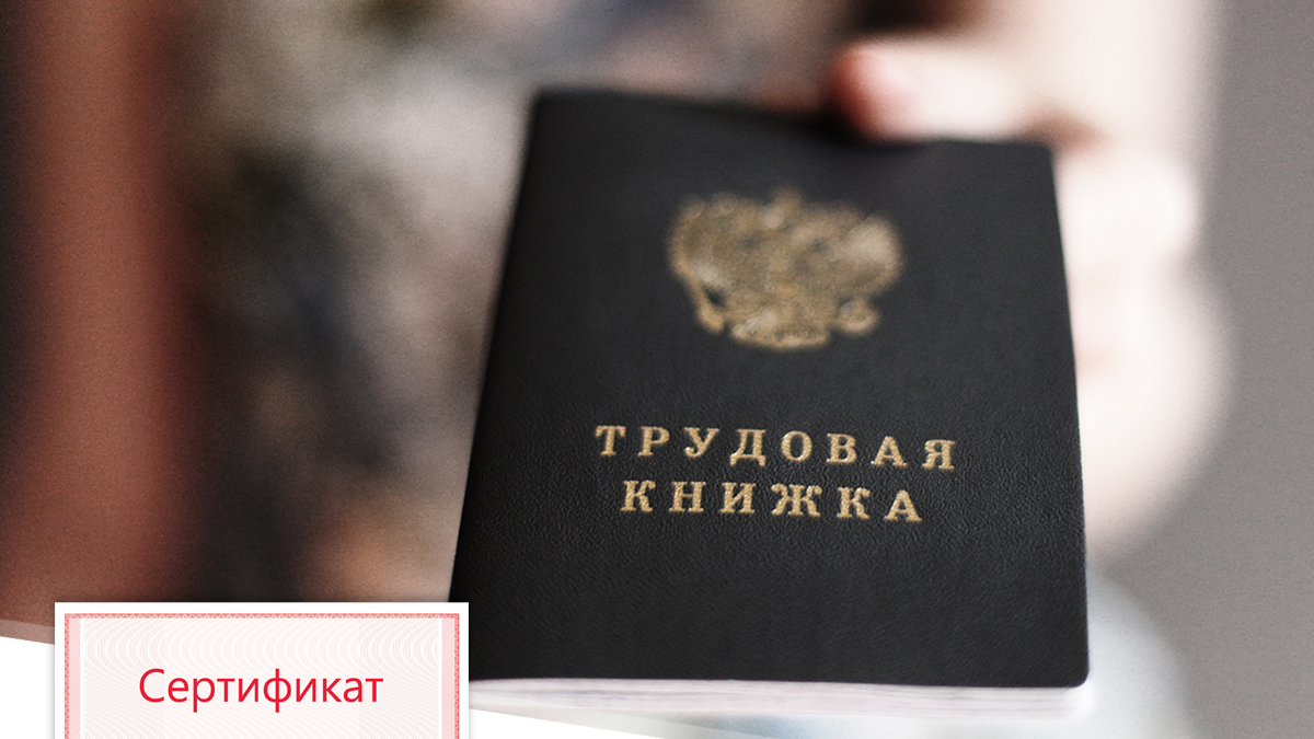 Как Выглядит Трудовая Книжка Фото