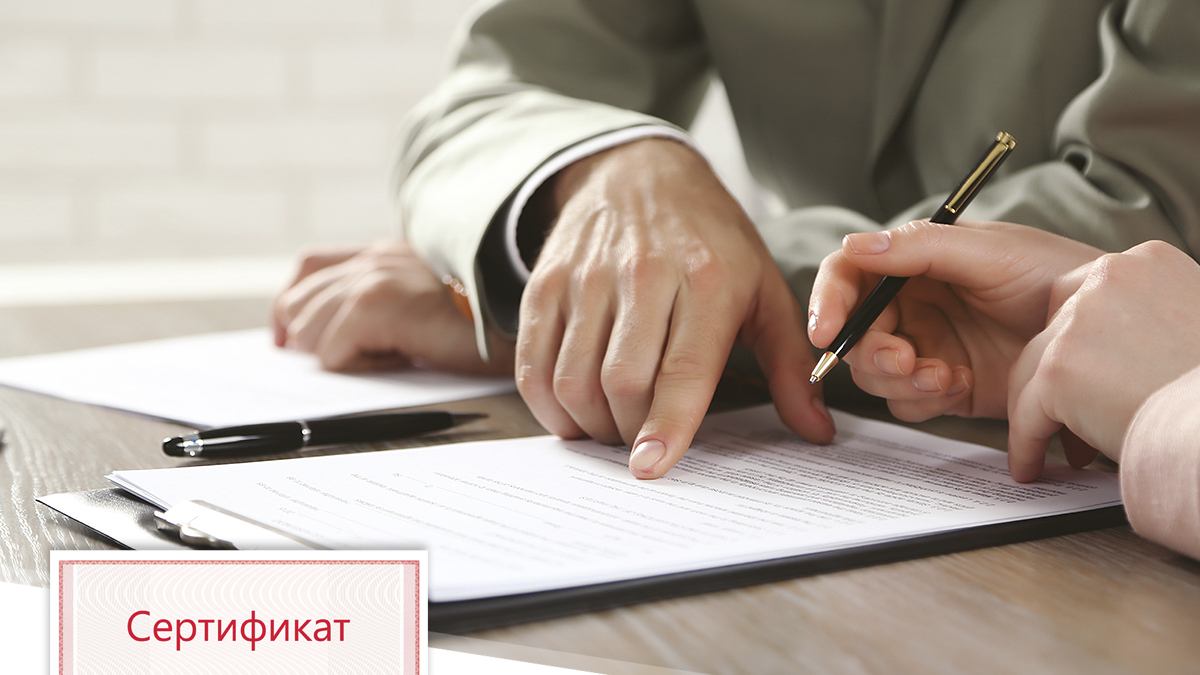 Новая Учетная Политика На 2022 Год